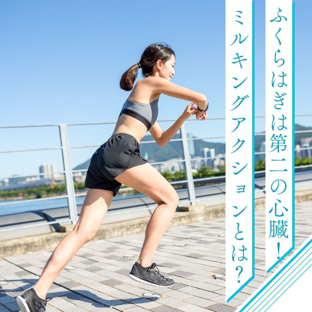 ふくらはぎは第二の心臓！ミルキングアクションで疲労もむくみも解消のブログ画像　代々木上原駅徒歩3分　代々木上原鍼灸院